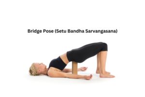 Bridge pose (setu bandha sarvangasana)