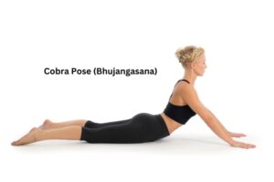 Cobra pose (bhujangasana)