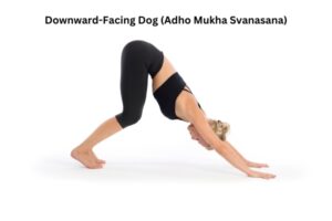 Downward-facing dog (adho mukha svanasana)