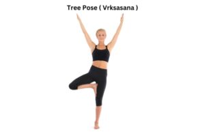 Tree pose ( vrksasana )