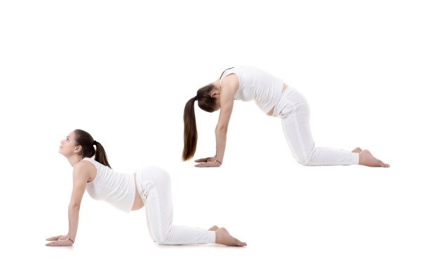 Cat-cow stretch (marjaryasana-bitilasana)