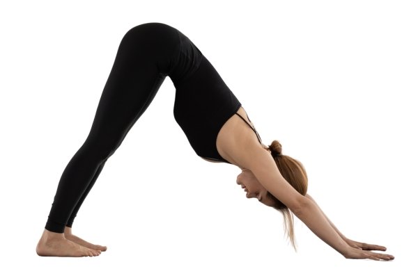 Downward facing dog (adho mukha svanasana)